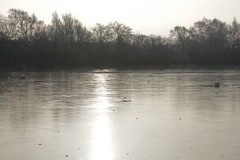 10th January 2009 DSC00209.JPG