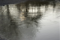 31st December 2008 DSC08420.JPG