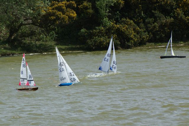 DSC09761.JPG