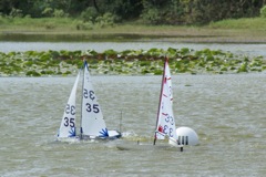 DSC09582.JPG