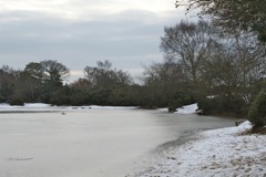 DSC02755