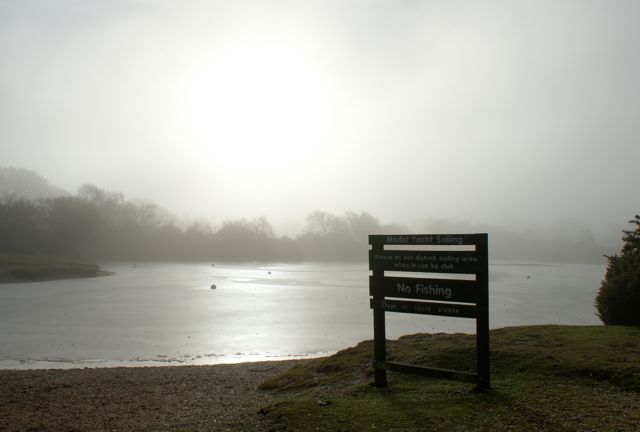 DSC02737 © Peter Taylor 2010