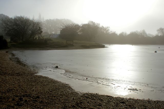 DSC02733 © Peter Taylor 2010