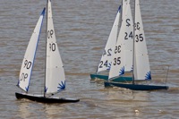 DSC04382 © Peter Taylor 2012