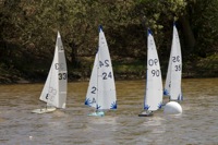 DSC04515 © Peter Taylor 2012