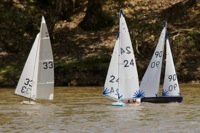DSC04566 © Peter Taylor 2012