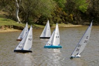 DSC00143 © Peter Taylor 2012