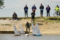 DSC00201 © Peter Taylor 2012