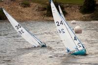 DSC00192 © Peter Taylor 2012