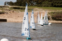 DSC00221 © Peter Taylor 2012