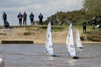 DSC00176 © Peter Taylor 2012