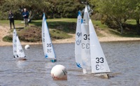 DSC00215 © Peter Taylor 2012