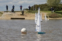 DSC00223 © Peter Taylor 2012