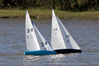 DSC04279 © Peter Taylor 2012