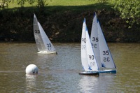 DSC04342 © Peter Taylor 2012