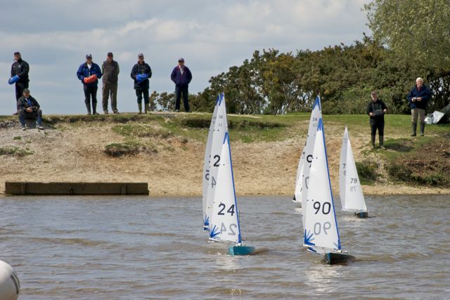 DSC00176 © Peter Taylor 2012