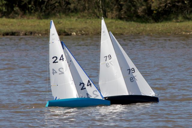 DSC04279 © Peter Taylor 2012
