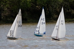 DSC04481 © Peter Taylor 2012