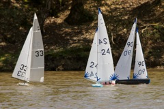 DSC04566 © Peter Taylor 2012