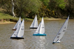DSC00143 © Peter Taylor 2012