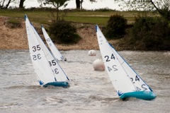 DSC00194 © Peter Taylor 2012