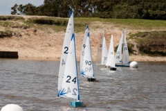 DSC00221 © Peter Taylor 2012