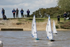 DSC00176 © Peter Taylor 2012