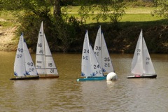 DSC04347 © Peter Taylor 2012