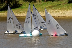 DSC04369 © Peter Taylor 2012