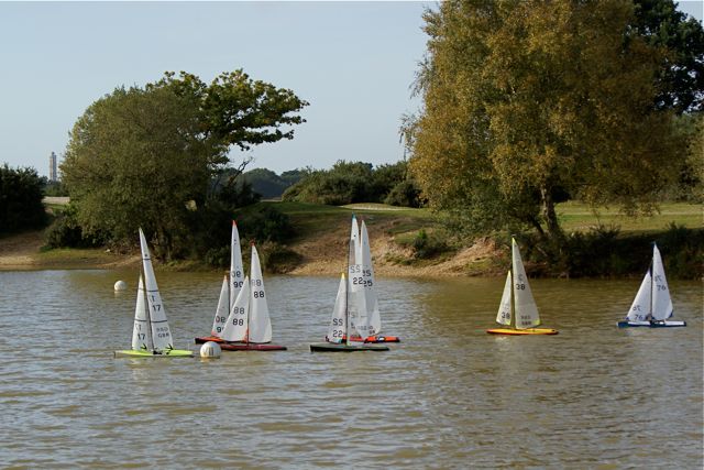DSC07189 © Peter Taylor 2008