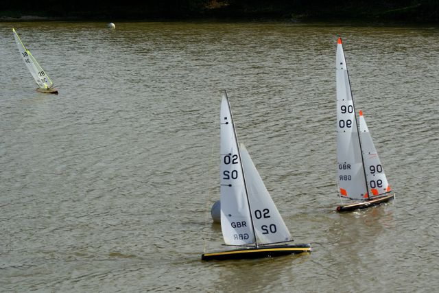 DSC07219 © Peter Taylor 2008