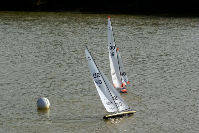 DSC07220 © Peter Taylor 2008