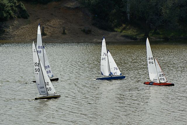 DSC07237 © Peter Taylor 2008