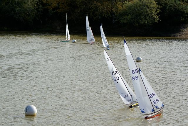 DSC07241 © Peter Taylor 2008