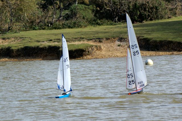 DSC07243 © Peter Taylor 2008