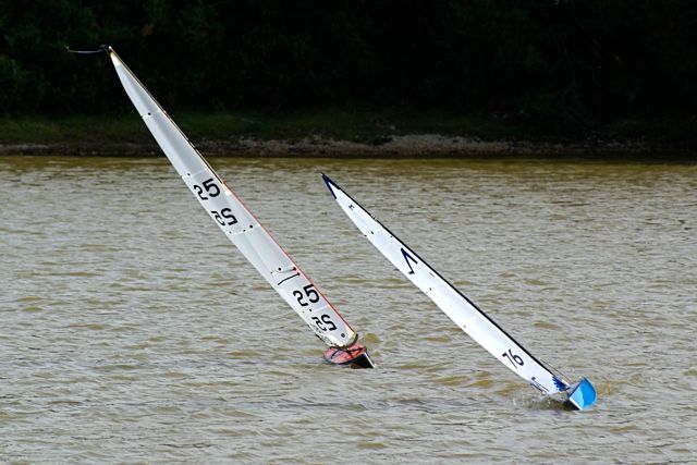 DSC07254 © Peter Taylor 2008