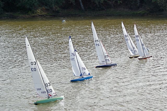 DSC07133 © Peter Taylor 2008