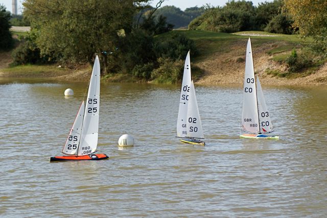 DSC07152 © Peter Taylor 2008