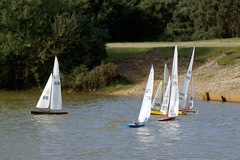 DSC07183 © Peter Taylor 2008