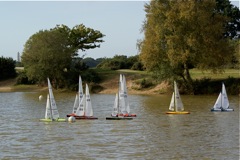 DSC07189 © Peter Taylor 2008