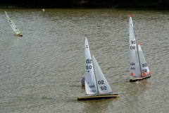 DSC07219 © Peter Taylor 2008