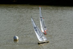 DSC07220 © Peter Taylor 2008