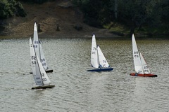 DSC07237 © Peter Taylor 2008