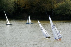 DSC07242 © Peter Taylor 2008