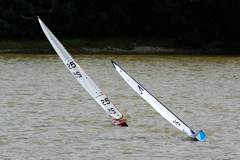 DSC07254 © Peter Taylor 2008
