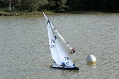 DSC07258 © Peter Taylor 2008