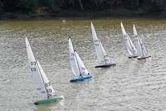 DSC07133 © Peter Taylor 2008