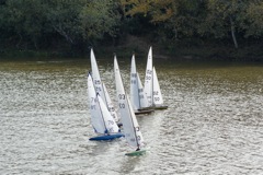 DSC07136 © Peter Taylor 2008