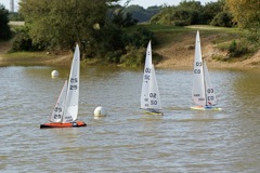 DSC07152 © Peter Taylor 2008