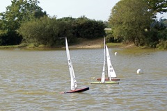DSC07177 © Peter Taylor 2008